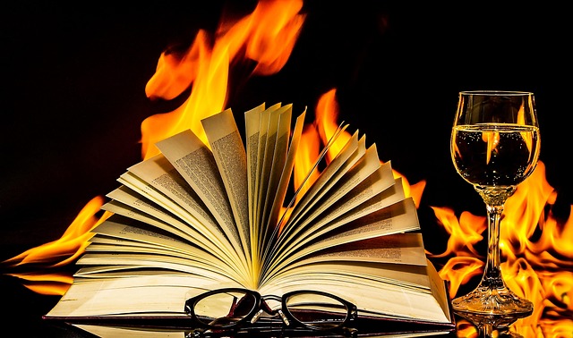 Bücher sollte man auch im digitalen Zeotalter nicht verbrennen Warum Bücher auch im digitalen Zeitalter noch wichtig sind